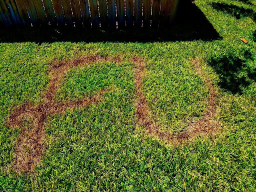 FU burned into Jennifer Jenkin's lawn